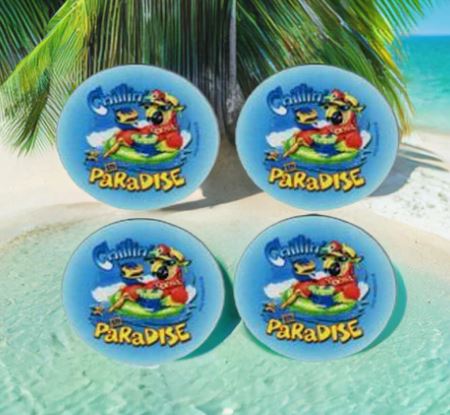 Parrot Drink Coasters