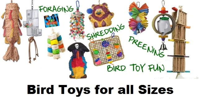 Shop Bird Toys