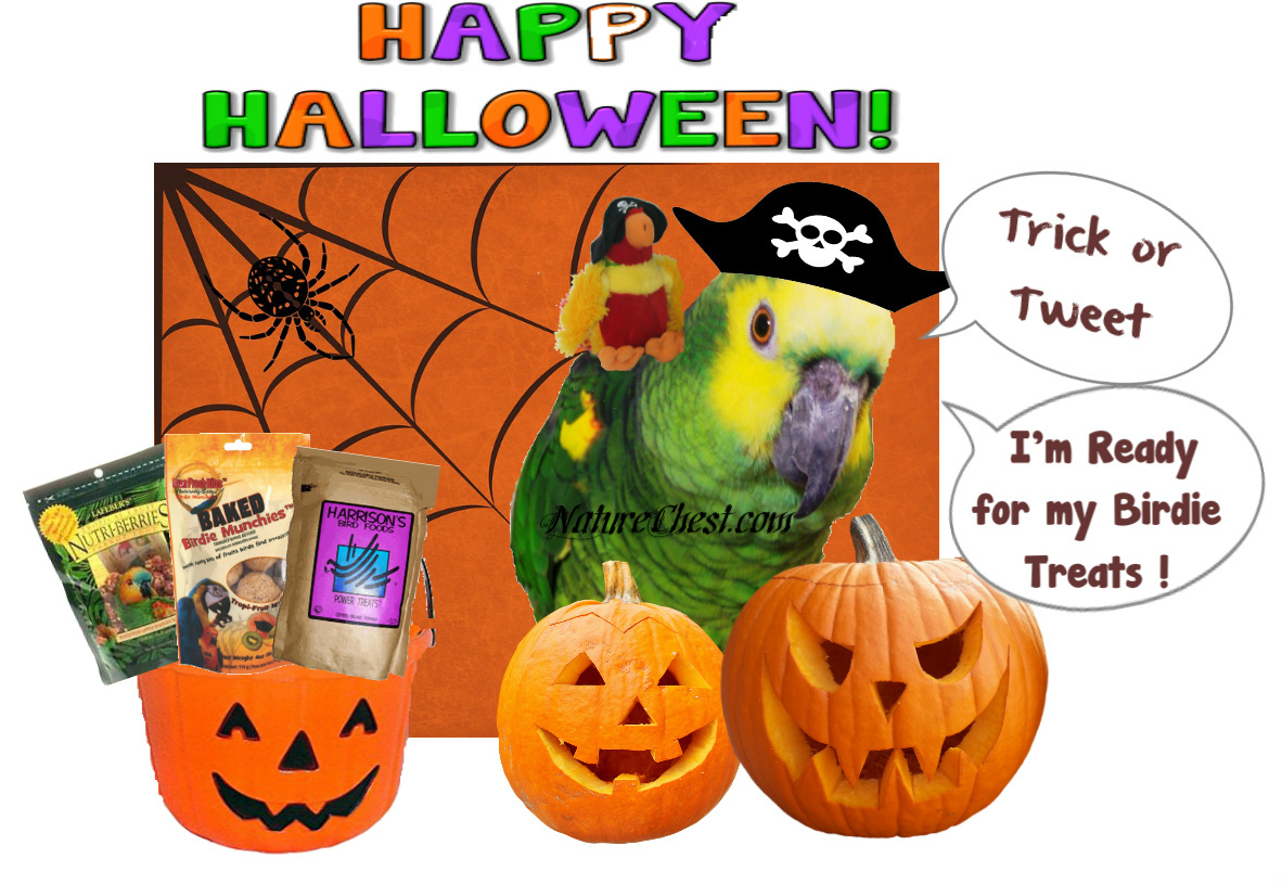 Halloween Bird Safety Tips